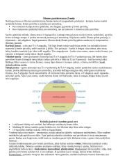 Orai ir klimatas konspektas 3 puslapis