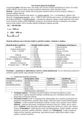 Orientavimasis aplinkoje konspektas 2 puslapis