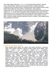 Išoriniai Žemės paviršių keičiantys procesai 3 puslapis