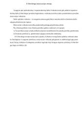 Mano veiklos motyvacijos analizė 13 puslapis