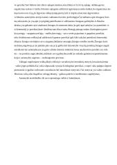 Mano veiklos motyvacijos analizė 20 puslapis