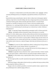 Mano veiklos motyvacijos analizė 3 puslapis