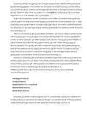 Mano veiklos motyvacijos analizė 5 puslapis