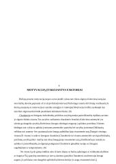 Mano veiklos motyvacijos analizė 7 puslapis