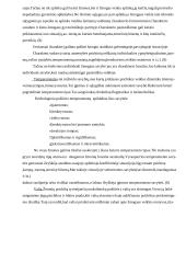 Mano veiklos motyvacijos analizė 8 puslapis