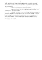 Mano veiklos motyvacijos analizė 9 puslapis