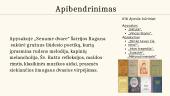 Marija Pečkauskaitė - Šatrijos Ragana pristatymas 9 puslapis