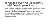 Pramonės perversmas  pristatymas 11 puslapis