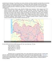 Sausumos vandenys konspektas 4 puslapis