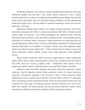 Tarpukario Lietuvos Konstitucijos (su aprašymais) 11 puslapis