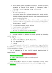 Daiktinės teisės teorija 2 puslapis