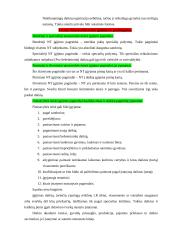 Daiktinės teisės teorija 11 puslapis