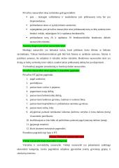 Daiktinės teisės teorija 17 puslapis