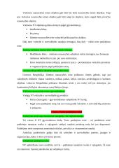 Daiktinės teisės teorija 19 puslapis