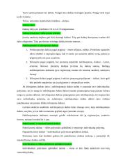 Daiktinės teisės teorija 3 puslapis