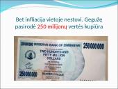 Infliacija Zimbabvėje pristatymas 13 puslapis
