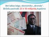 Infliacija Zimbabvėje pristatymas 16 puslapis
