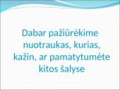 Infliacija Zimbabvėje pristatymas 4 puslapis