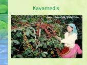 Miškai – pasaulio turtas pristatymas 13 puslapis