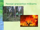 Miškai – pasaulio turtas pristatymas 15 puslapis