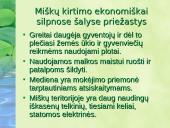 Miškai – pasaulio turtas pristatymas 16 puslapis