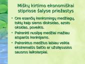 Miškai – pasaulio turtas pristatymas 17 puslapis