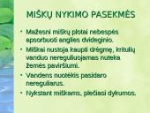 Miškai – pasaulio turtas pristatymas 18 puslapis