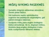 Miškai – pasaulio turtas pristatymas 19 puslapis