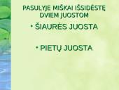Miškai – pasaulio turtas pristatymas 4 puslapis