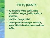 Miškai – pasaulio turtas pristatymas 10 puslapis