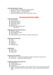 Programinė įranga - gera teorija 13 puslapis