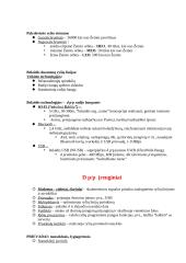 Programinė įranga - gera teorija 14 puslapis