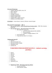 Programinė įranga - gera teorija 3 puslapis