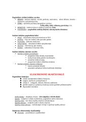 Programinė įranga - gera teorija 5 puslapis