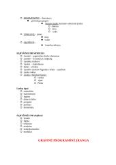 Programinė įranga - gera teorija 7 puslapis