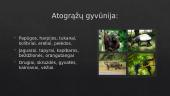 Atogrąžų (tropinis) klimatas 6 puslapis