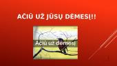 Informacijos rūšys ir informacijos perdavimas 9 puslapis