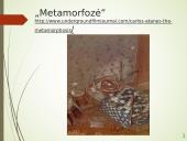 Francas Kafka ir absurdo literatūra 11 puslapis