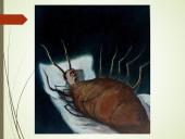 Francas Kafka ir absurdo literatūra 12 puslapis