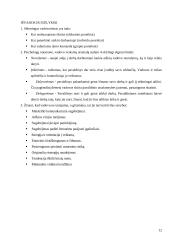 Vadovavimas ir vadovas 12 puslapis