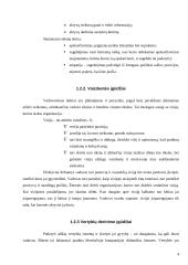 Vadovavimas ir vadovas 4 puslapis