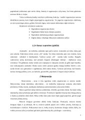 Vadovavimas ir vadovas 5 puslapis