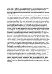 Severijos personažo analizė