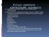 Juozas Grušas 1901 -1986  15 puslapis
