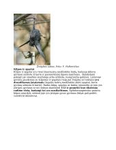 Grėsmės laukiniams gyvūnams 5 puslapis