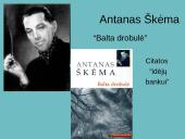 Škėmos romano ženklai ir apibendrinimas