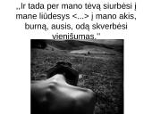 Škėmos romano ženklai ir apibendrinimas 17 puslapis