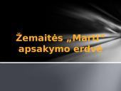 Žemaitės „Marti“ apsakymo erdvė