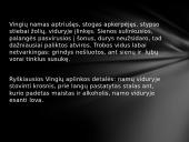 Žemaitės „Marti“ apsakymo erdvė 4 puslapis