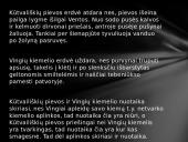 Žemaitės „Marti“ apsakymo erdvė 6 puslapis